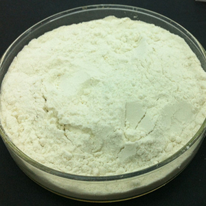 Dairy Enzyme