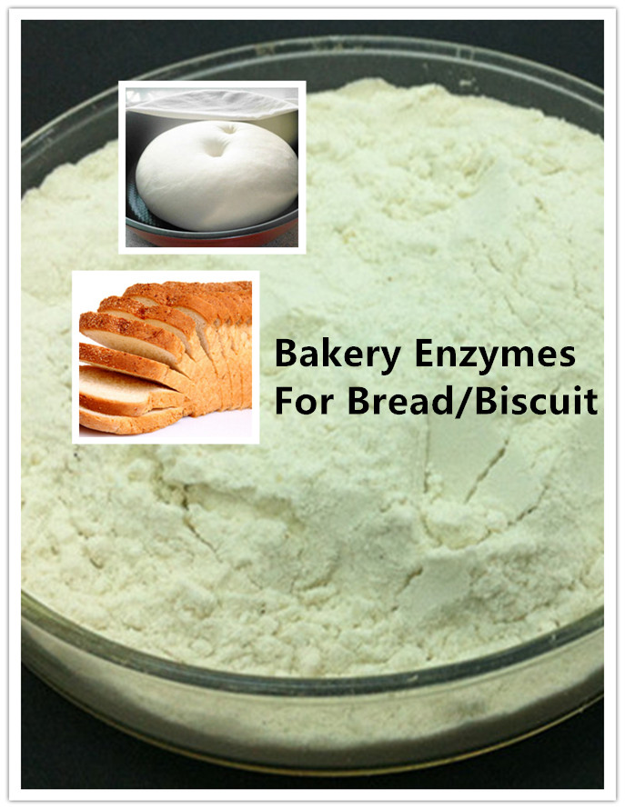bakery enzyme