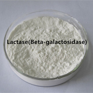 Lactase