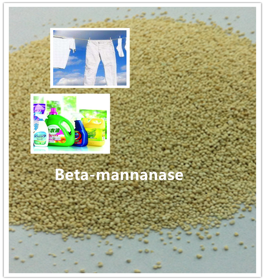 beta mannanase enzyme