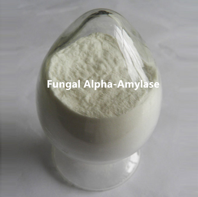 Fungal Alpha Amyalse