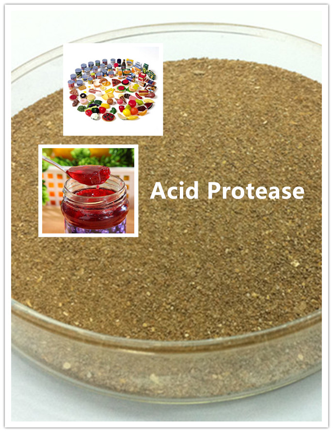 acid protease
