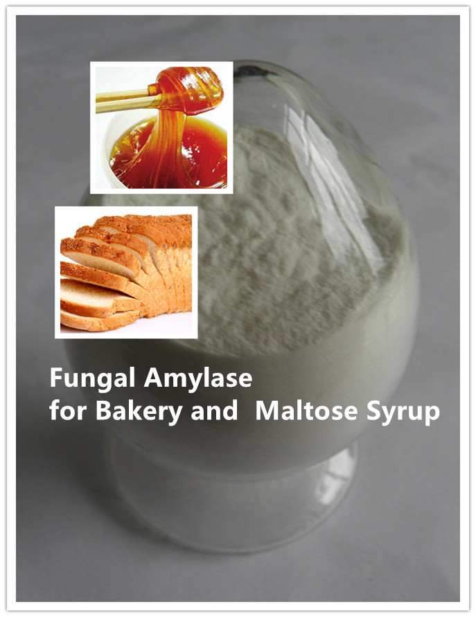 fungal alpha amyalse
