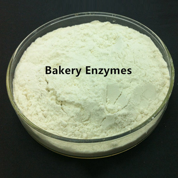 Bakery Enzyme