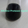 Alkaline Protease