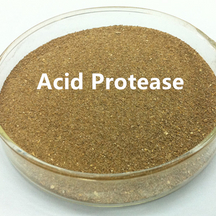 Acid Protease