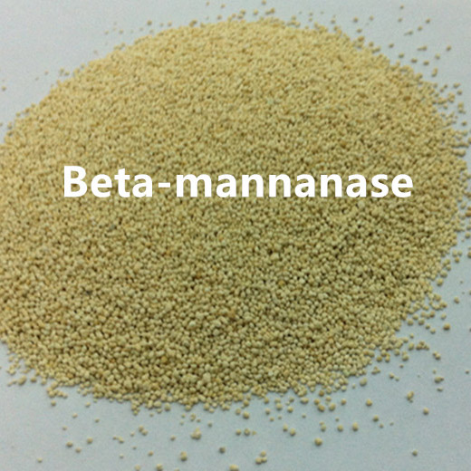 Beta Mannanase