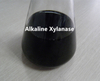 Thermostable Alkaline Xylanase