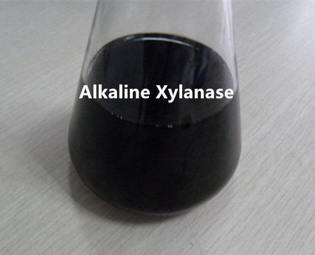 Thermostable Alkaline Xylanase