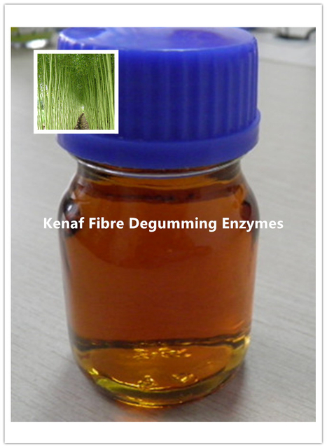 Kenaf Fibre Degumming Enzymes