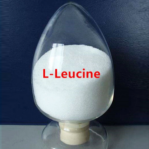 high quality l leucine.png