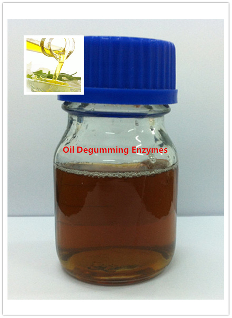 Oil Degumming Enzymes