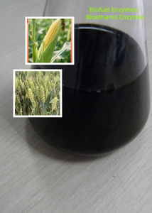 Biofuel Enzymes/ Bioethanol Enzymes