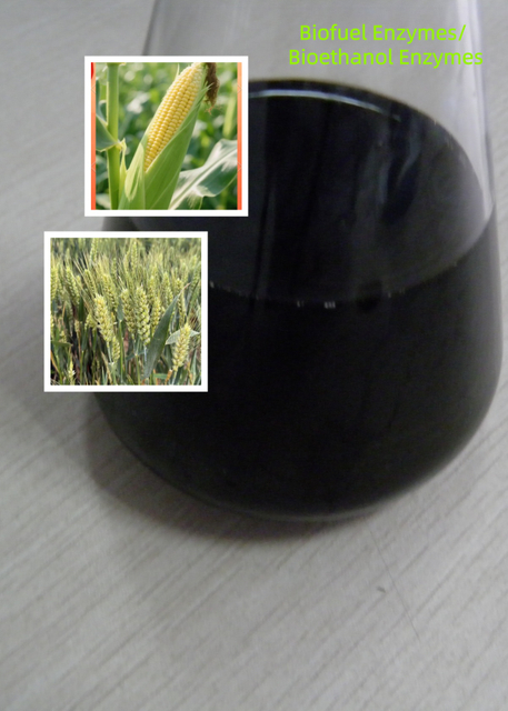 Biofuel Enzymes/ Bioethanol Enzymes