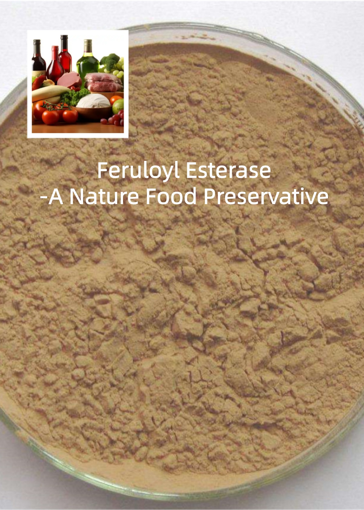 Feruloyl Esterase Enzyme