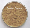 Feruloyl Esterase Enzyme