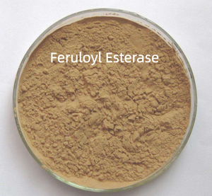 Feruloyl Esterase Enzyme